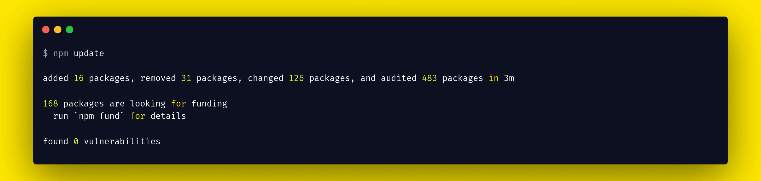 npm update command output