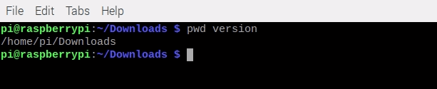 pwd version flag output